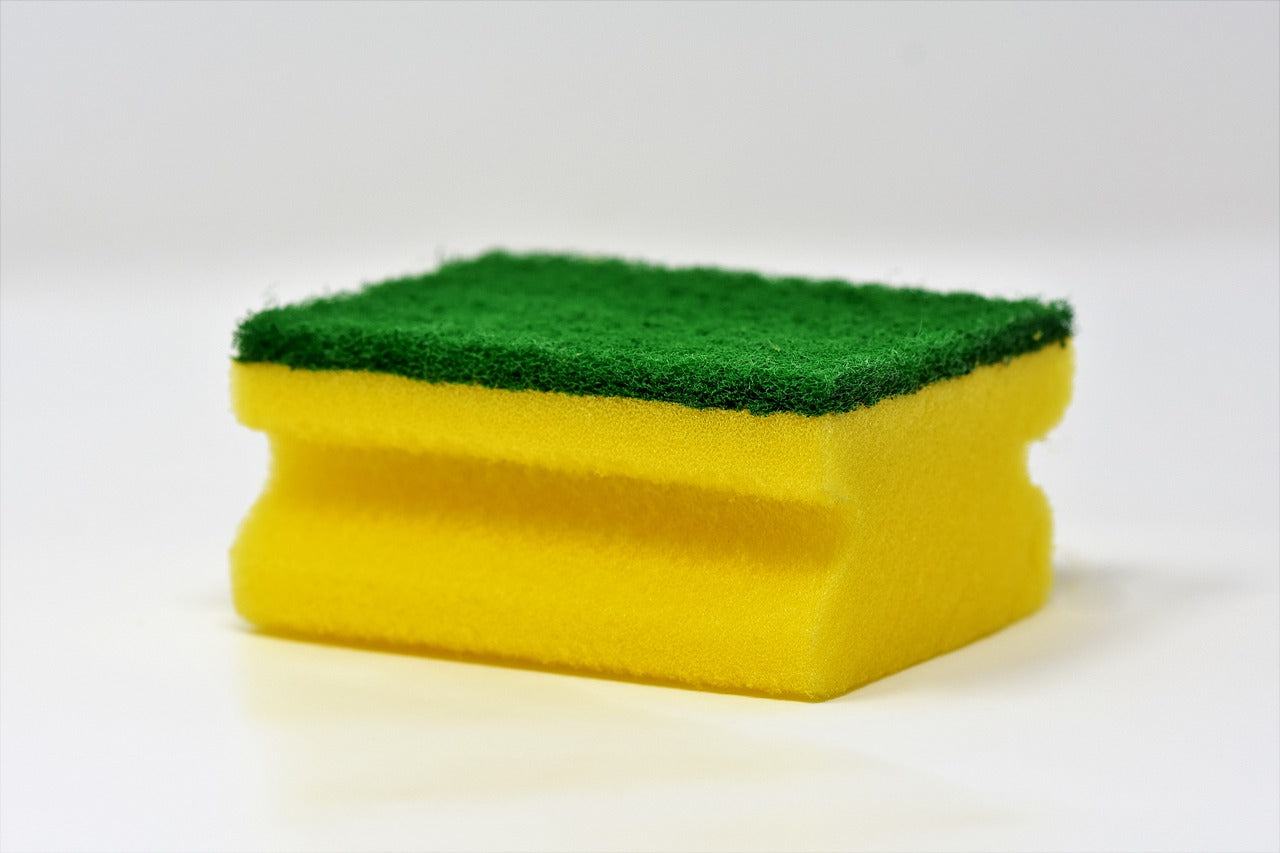 The Sponge